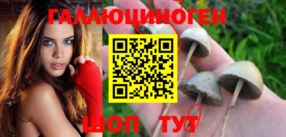 Трёхгорный  Псилоцибиновые грибы Cubensis  Вход с VPN 