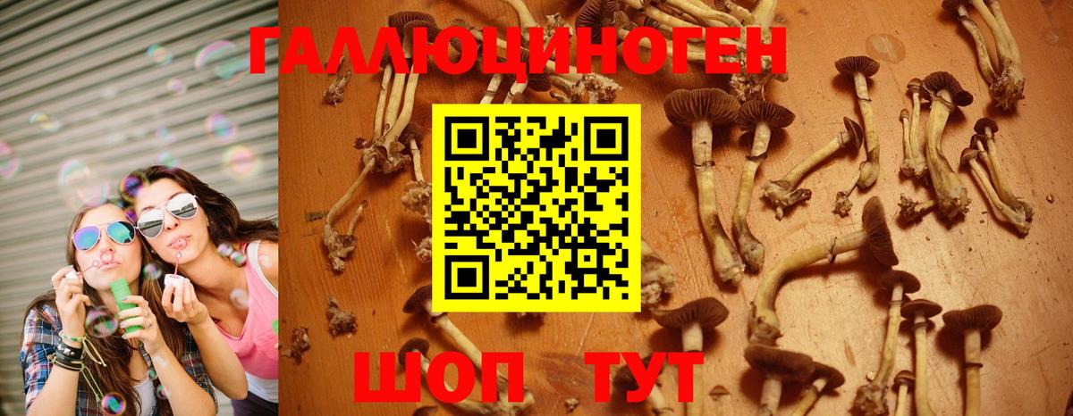 Галлюциногенные грибы Psilocybine cubensis Трёхгорный